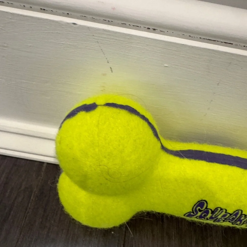 Kong AirDog Large Dog Pet Tennis Ball Bone Toy - Vibrant Yellow